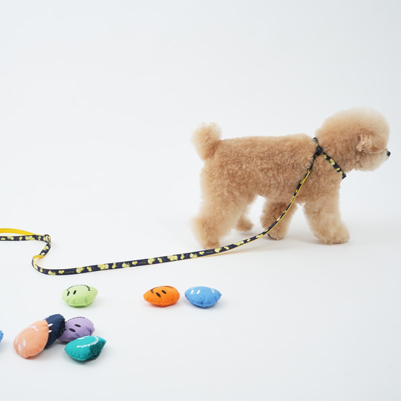 【PUPPYGALLERY公式】【予約】【即納】アトランタリード　XS