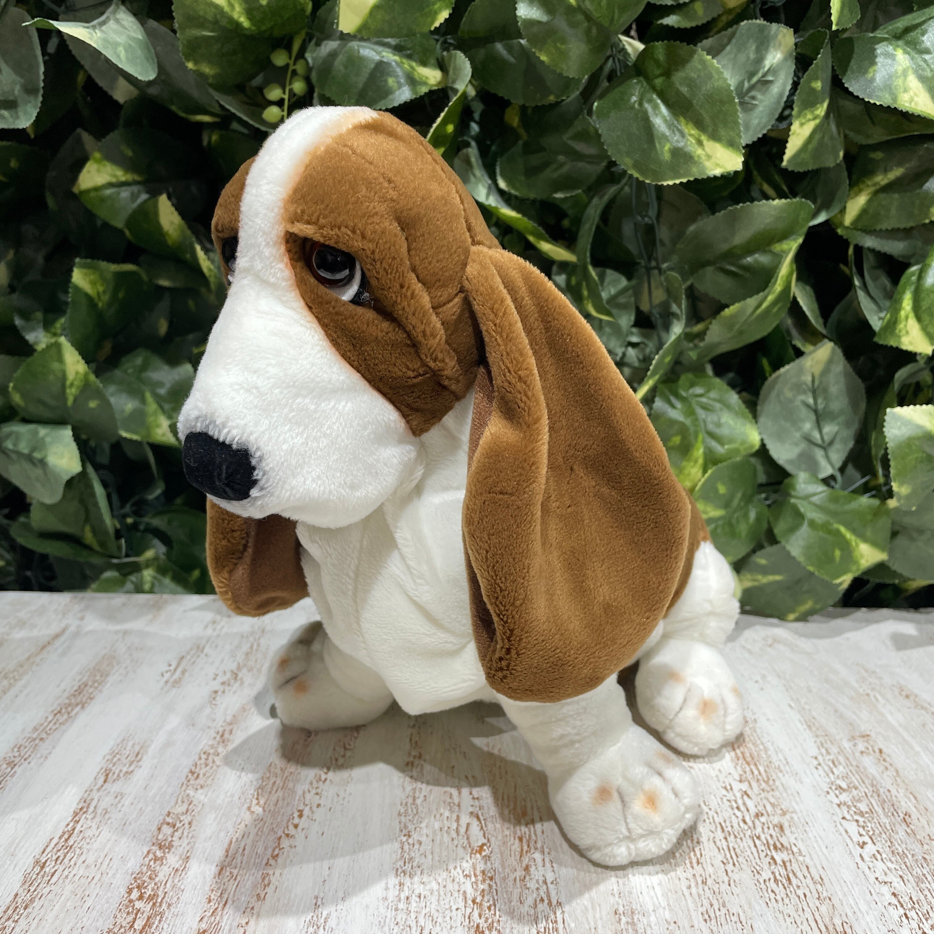 ファッション ⭐︎ハッシュパピーちゃん⭐︎バセットハウンド⭐︎犬の イヌ一般