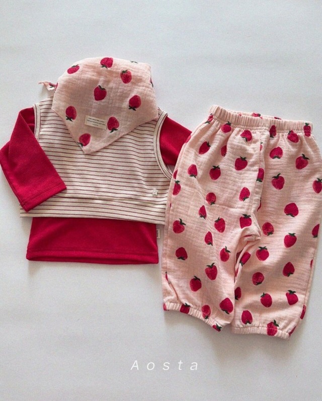 予約⌇aosta / Choco star vest