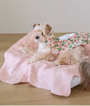 予約【azalea】Tomato Blanket