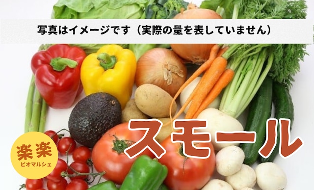 旬のオーガニック野菜セットスモールサイズ