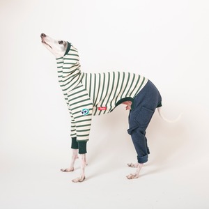 ボーダーファッションロンパース　green / イタグレ服
