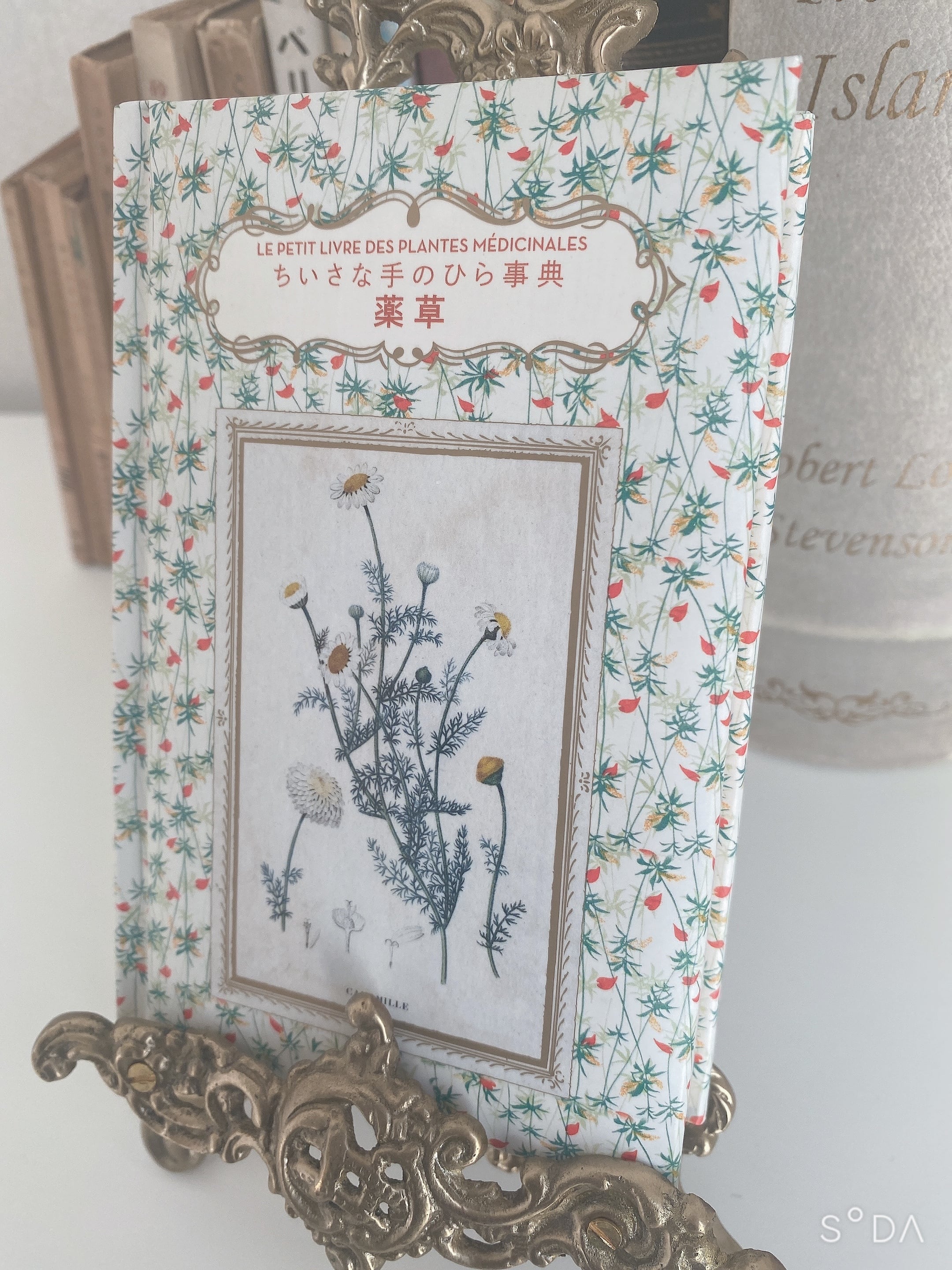 ちいさな手のひら事典 薬草 | Un Cabinet de Curiosités
