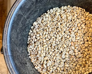 ディカフェ コーヒー豆 (カフェインレス・シングルオリジン / ブラジル) / 1袋 100g (豆or粉)