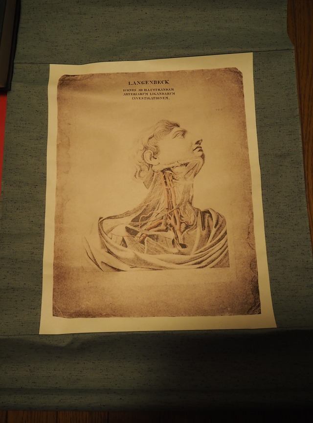 ゲッチンゲン医学古典文庫復刻版　全５冊＋掛軸　定価３５万円