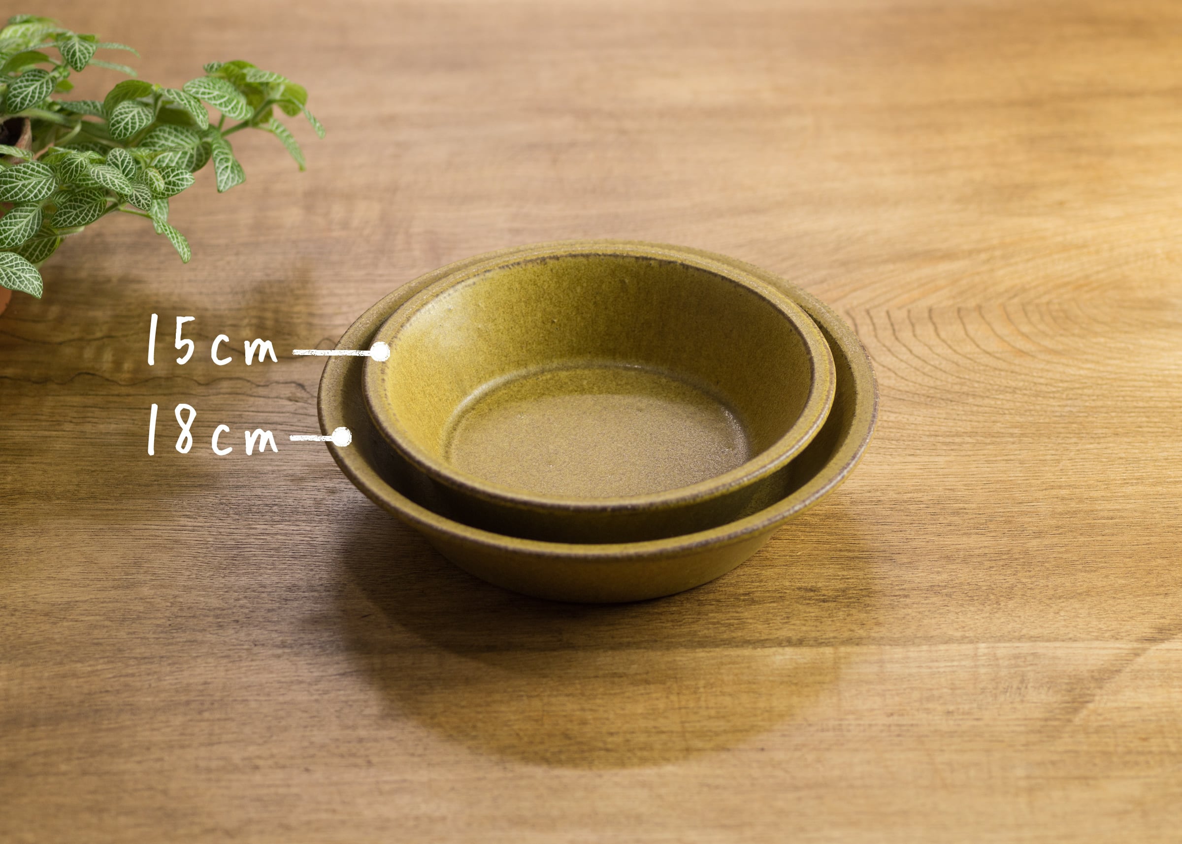 SHIROUMA 浅鉢 18cm 芥子色（深皿・スープボウル・グラタン皿・耐熱皿