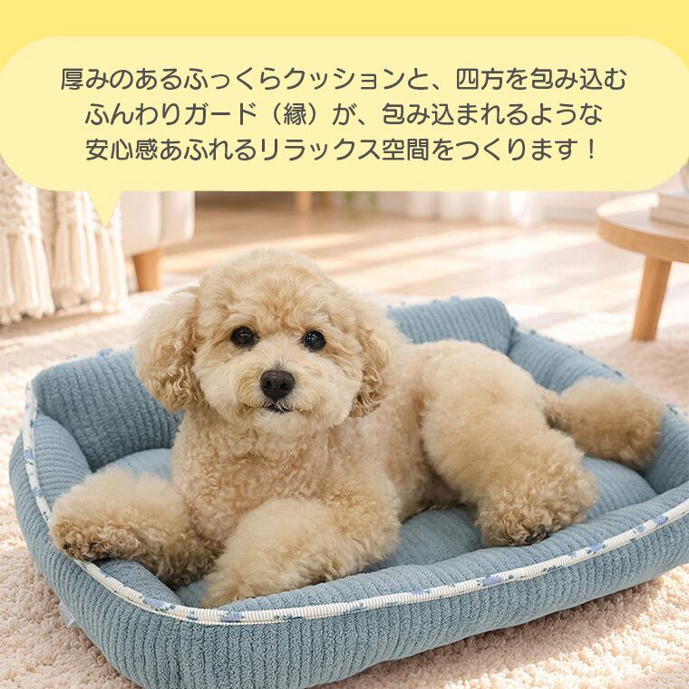【予約販売10%OFF】jelly bear reversible bed Msize 2color / 犬用 ベッド リバーシブル 両面 ふんわり 冬 可愛い クッション ペットマット 猫用 韓国 ペット用品 小型犬 中型犬 ハウス 高級 犬 ペットベッド