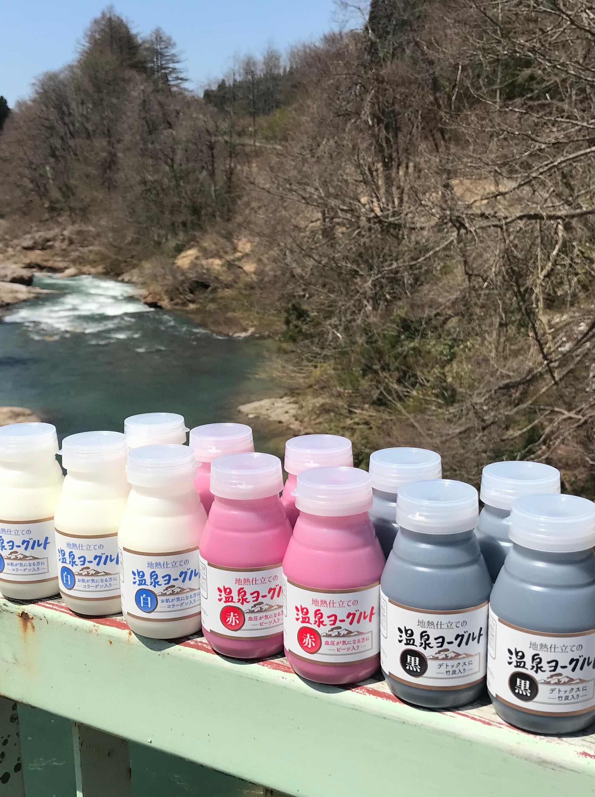 304 栗駒高原温泉ヨーグルト 白 秋田県 黒 赤