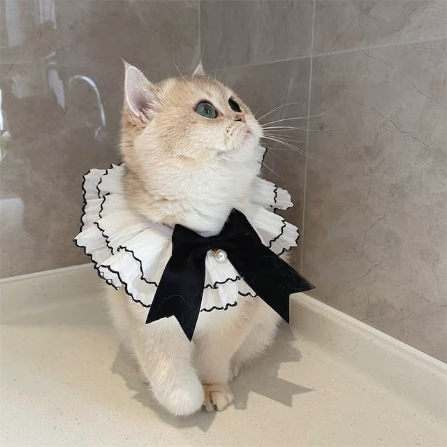フリルレースリボン 猫 エプロン リボン 付け襟 すたい