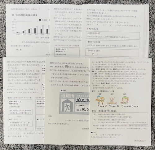 適性検査・社会　よく出るテーマ別(SDGs、６次産業、食料、3Rなど)過去問解説カード　お買い得７点セット