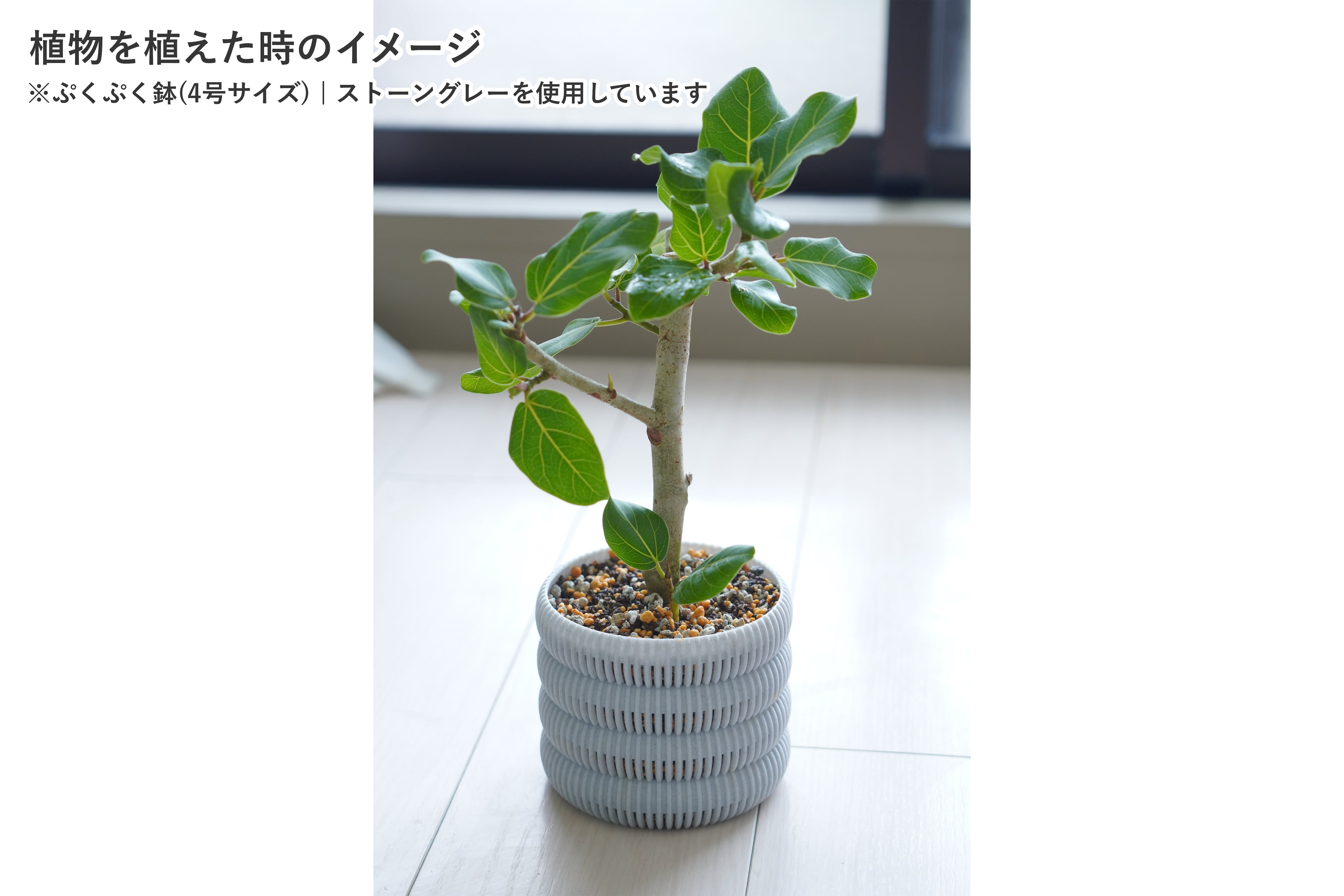 ぷくぷく鉢(4号サイズ)｜パンプキンイエロー | みどりのグリーンSHOP