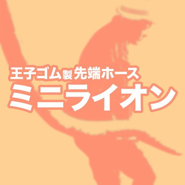 ミニライオンRX/3.25B(85A)/6m/4B(100A)ロングテーパー