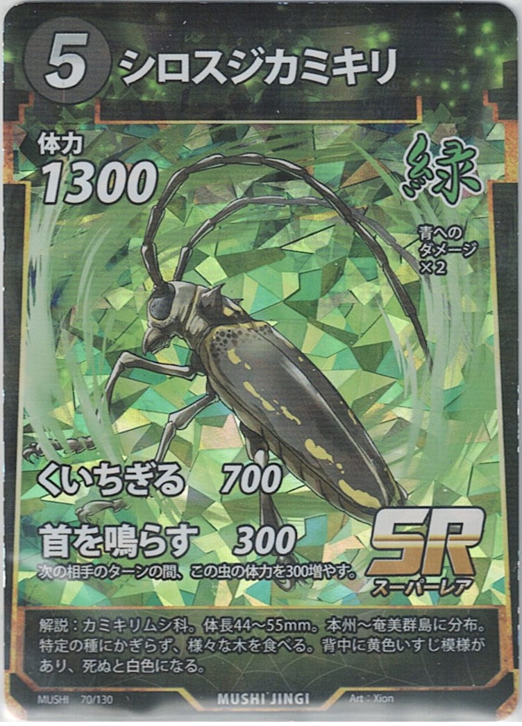 44特大・希少 ウォーレスシロスジカミキリ80mmup 44特大・希少