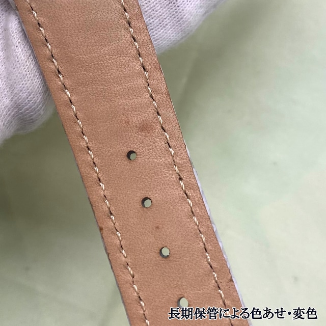 【訳あり品／展示品／小傷変色あり】本数限定特価 レクタンギュラー|プラチナホーニングレザー(ギオベ)