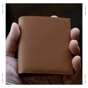 Aneto 1.1  /  Wallet
