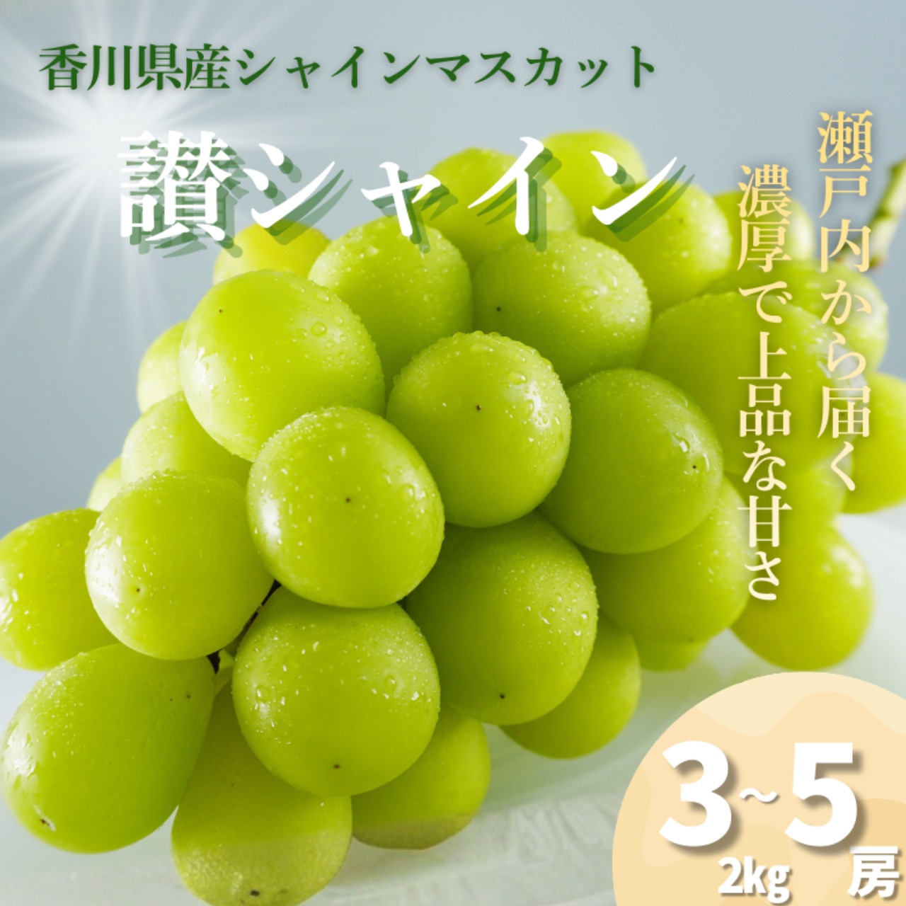 香川県産シャインマスカット｜讃シャイン 3〜5房（2kg以上） 発送予定