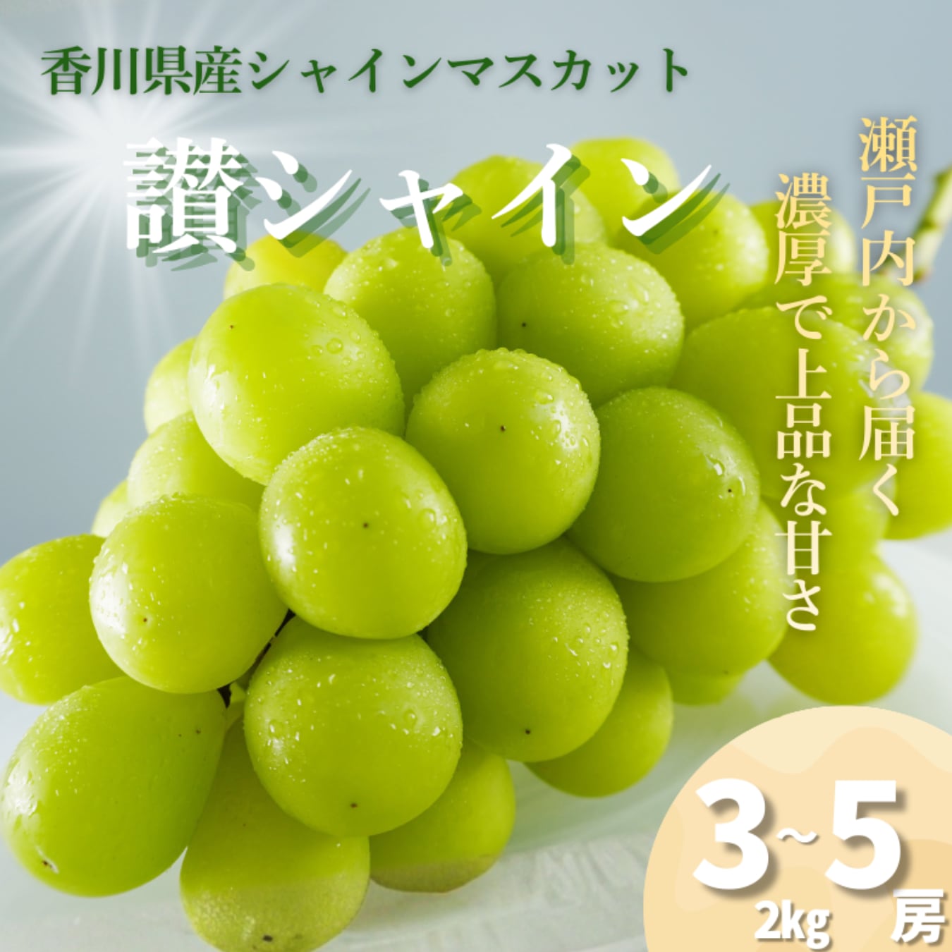 香川県産シャインマスカット｜讃シャイン 3〜5房（2kg以上） 発送予定