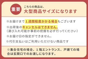 2人掛けソファ+オットマン