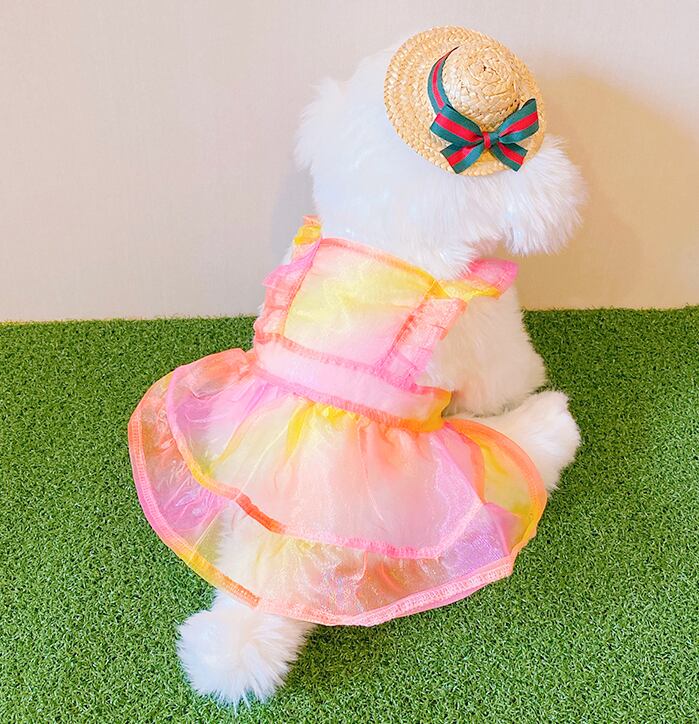 【SALE】レインボーシャーベットワンピース S ~ XL /  犬服 春夏 新作 シースルー ドレス ドッグウェア 可愛い 犬の服 ペット用品 ワンちゃん 猫 小型犬 onepiece35