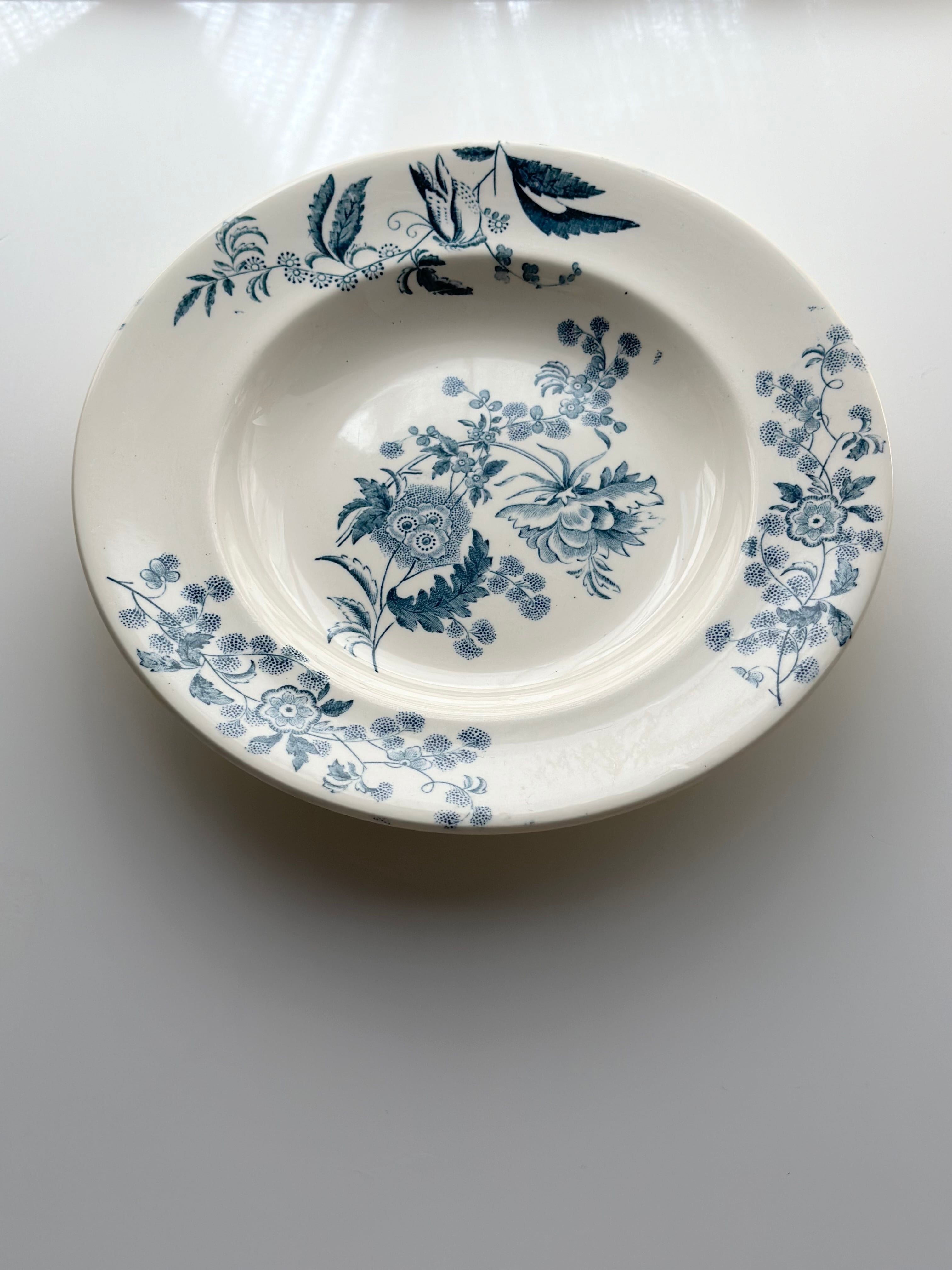 Longwy 深皿 YCHO Longwy ロンウィー / “YCHO” ボタニカルな深皿