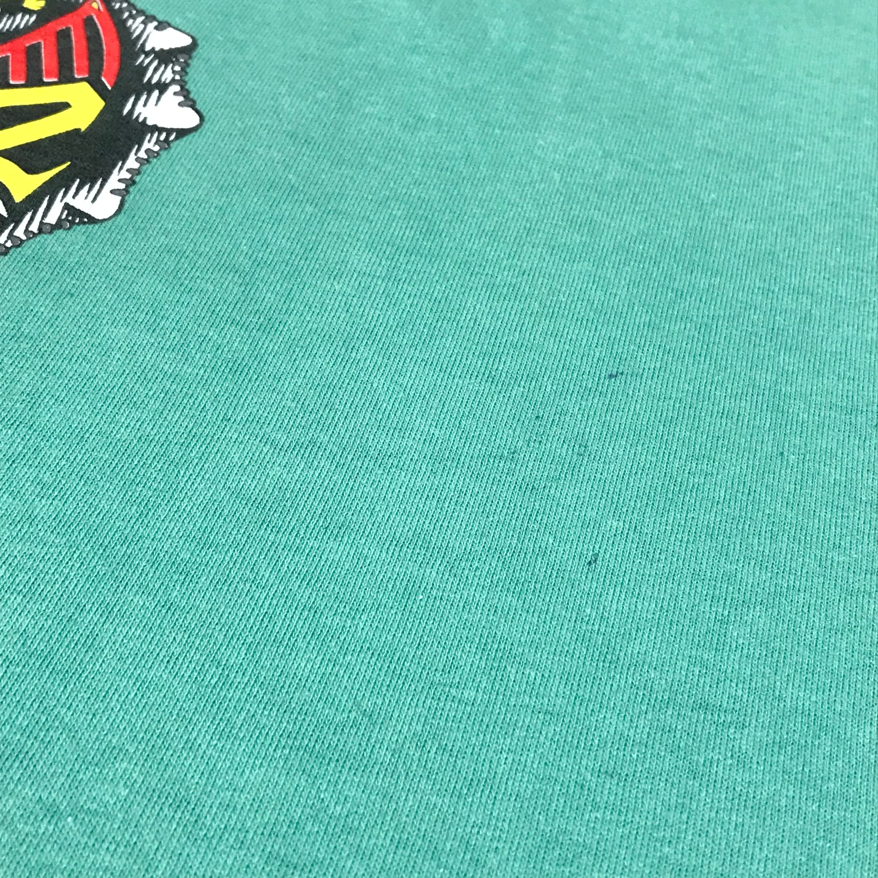 90's POWELL PERALTA STEVE SAIZ Tシャツ(M) | Desert Snow Chiba