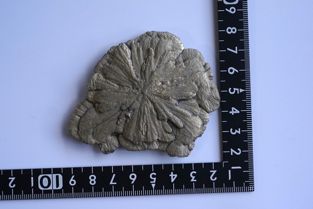 パイライトサン ③ Pyrite Sun