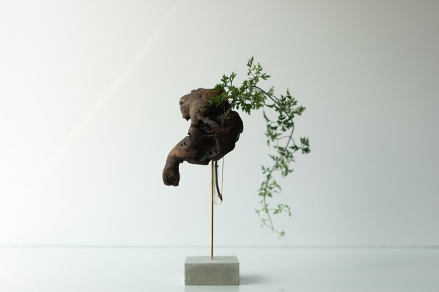 Driftwood flower vase 89- Cement M -