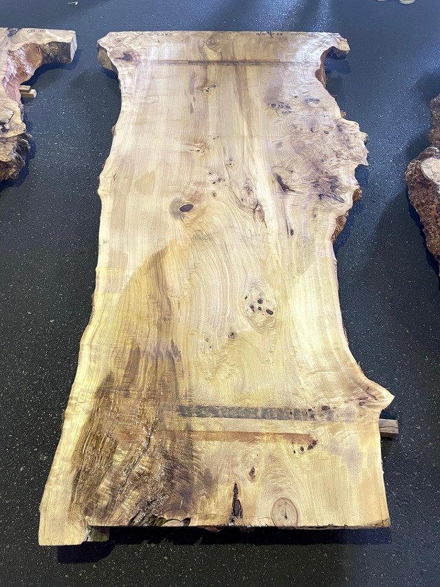 ポプラ_2500×1070×85_Web限定_オーダー用原板 T1292