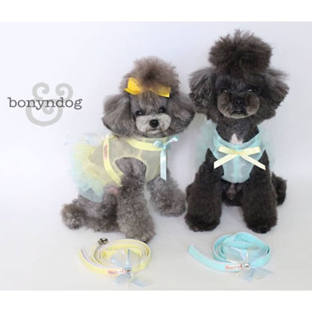 bonyndog【正規輸入】 シースルーハーネス　アクア 3-23212-0153