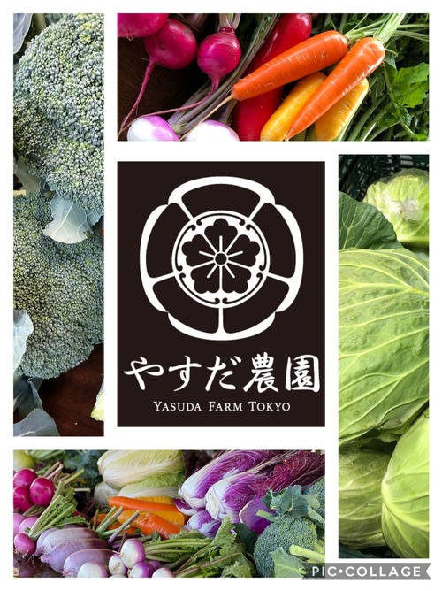 規格外増量便『冬色』お任せ旬野菜セットＬ100サイズ