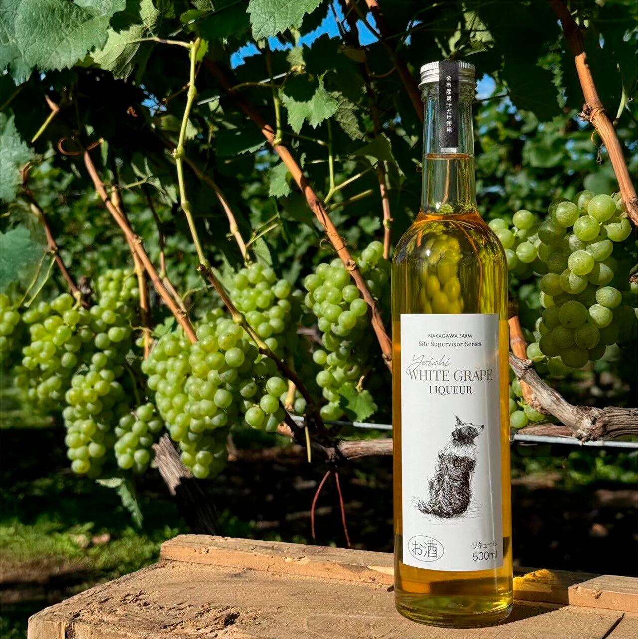 ピノグリ リキュール 果汁50%