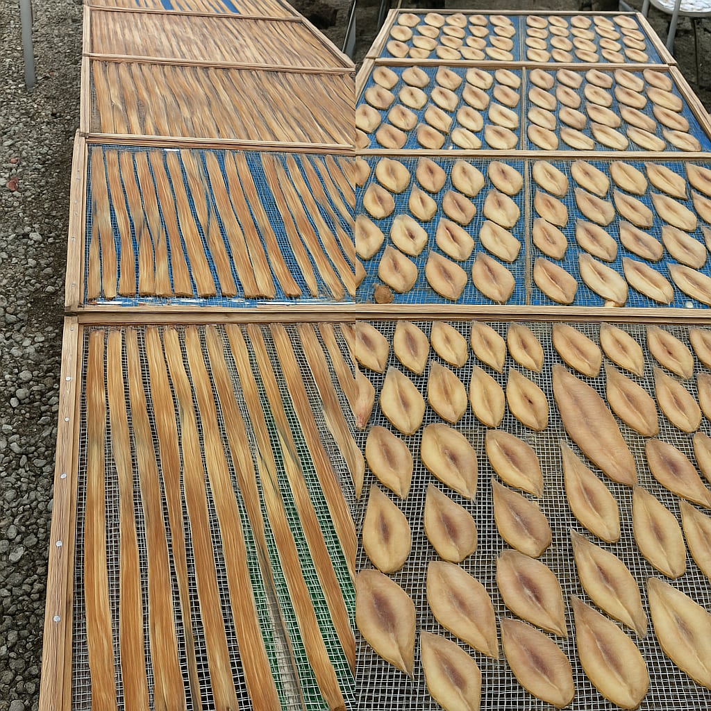 南知多　魚新商店　新鮮獲れたて鮮魚の干物セット（南知多豊浜産　アナゴ味醂干し約150g（5尾前後）/サバフグ味醂干し約300g（10尾前後））