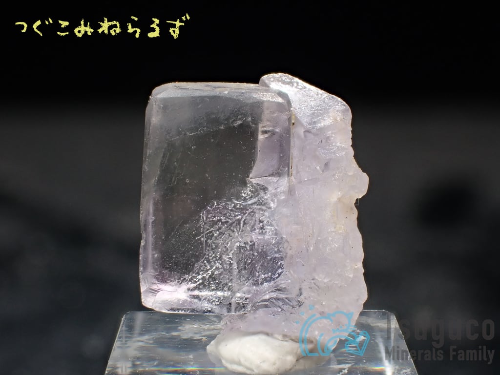 フローライト 蛍石 Fluorite スペイン TM-0049【レタパライト可】
