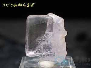 フローライト 蛍石 Fluorite スペイン TM-0049【レタパライト可】