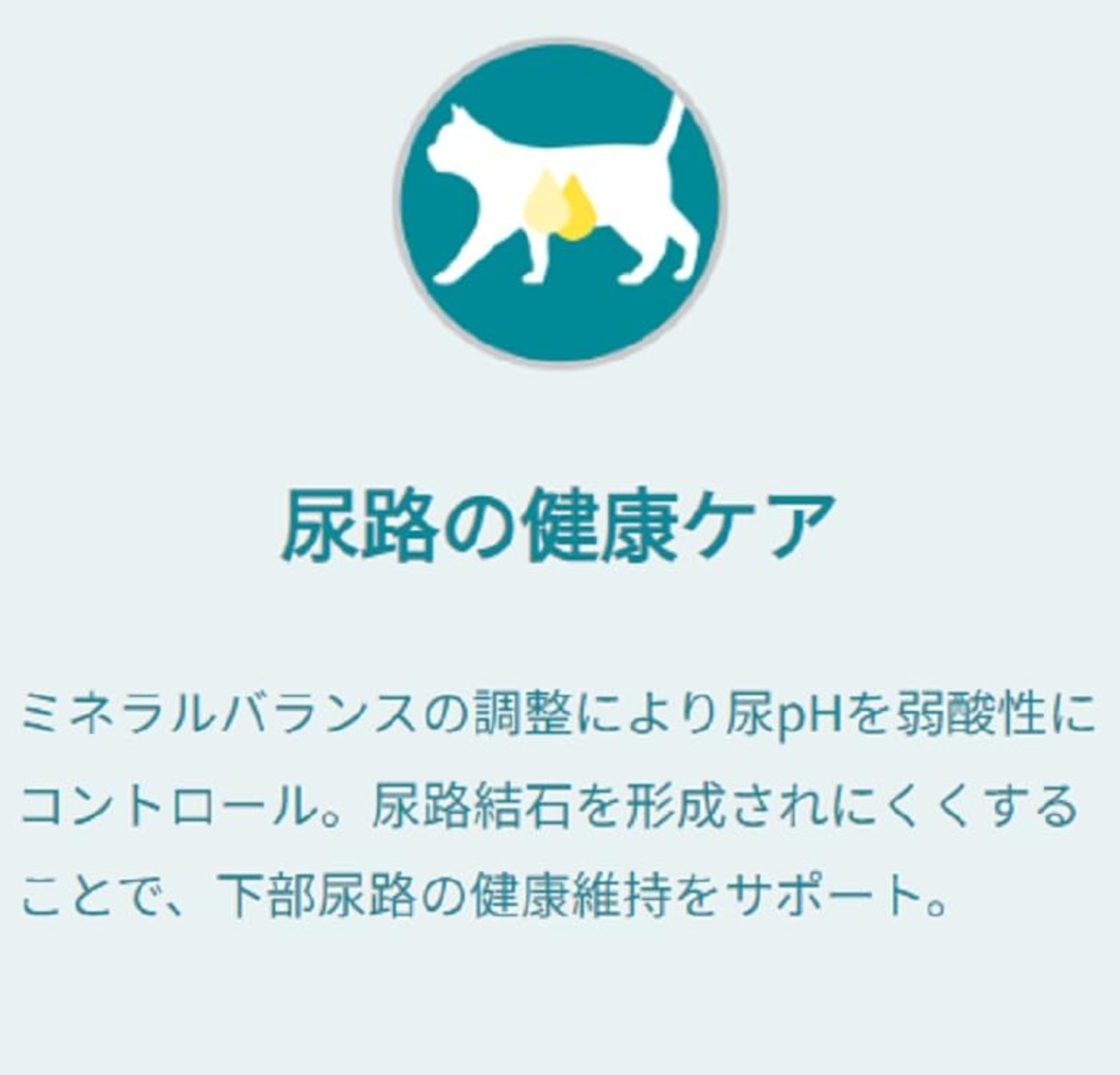 ピュリナワンキャット 美味を求める成猫用 1歳以上 チキン 2kg(500gx4袋入り)