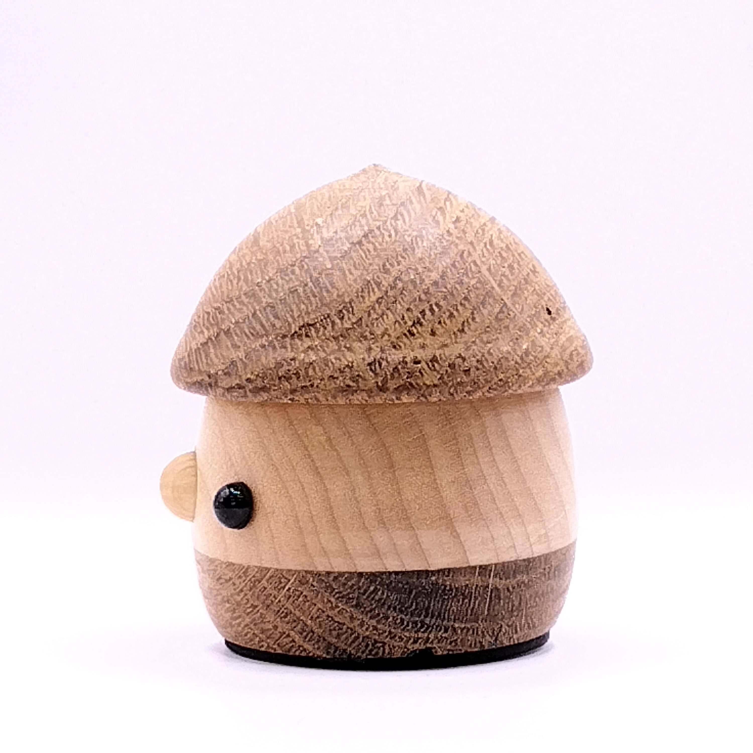 ふるさとどんぐり・川口の木（クヌギ#001） | こまむぐ |公式通販