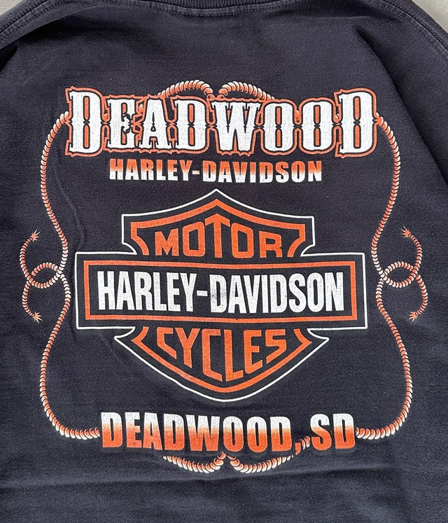 -Harley Davidson- Vintage 00s XL Flame pattern Long Sleeve T-shirt made in USA