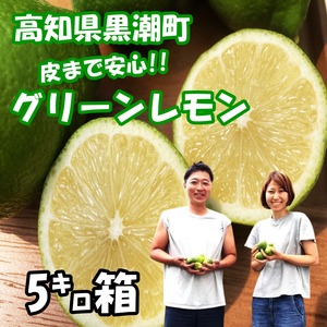 国産グリーンレモン　5キロ箱（L.M.Sサイズミックス30～60個）