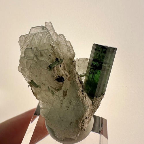 エルバイト / クリーブランダイト【Elbaite with Cleavelandite】ブラジル産