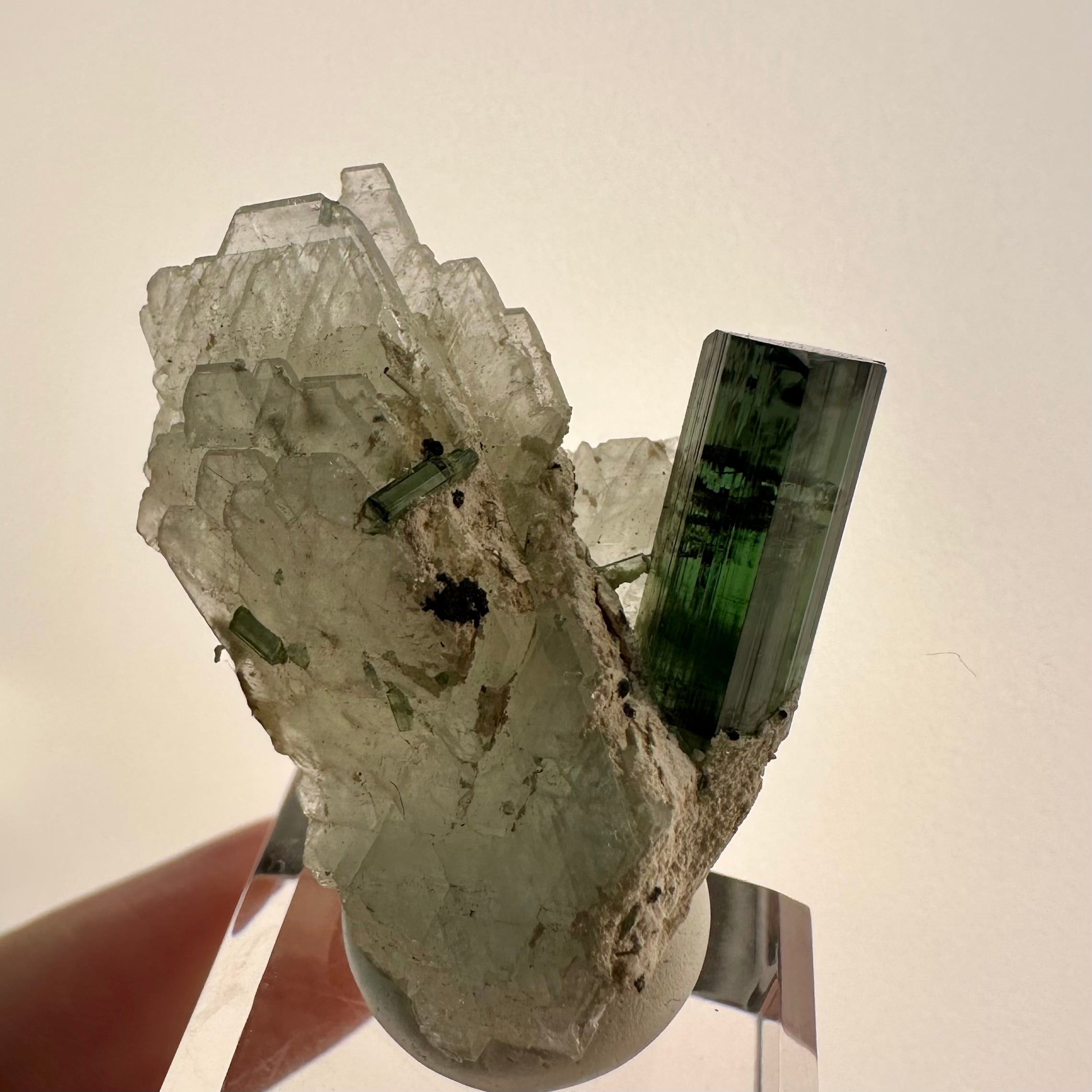 エルバイト / クリーブランダイト【Elbaite with Cleavelandite】ブラジル産