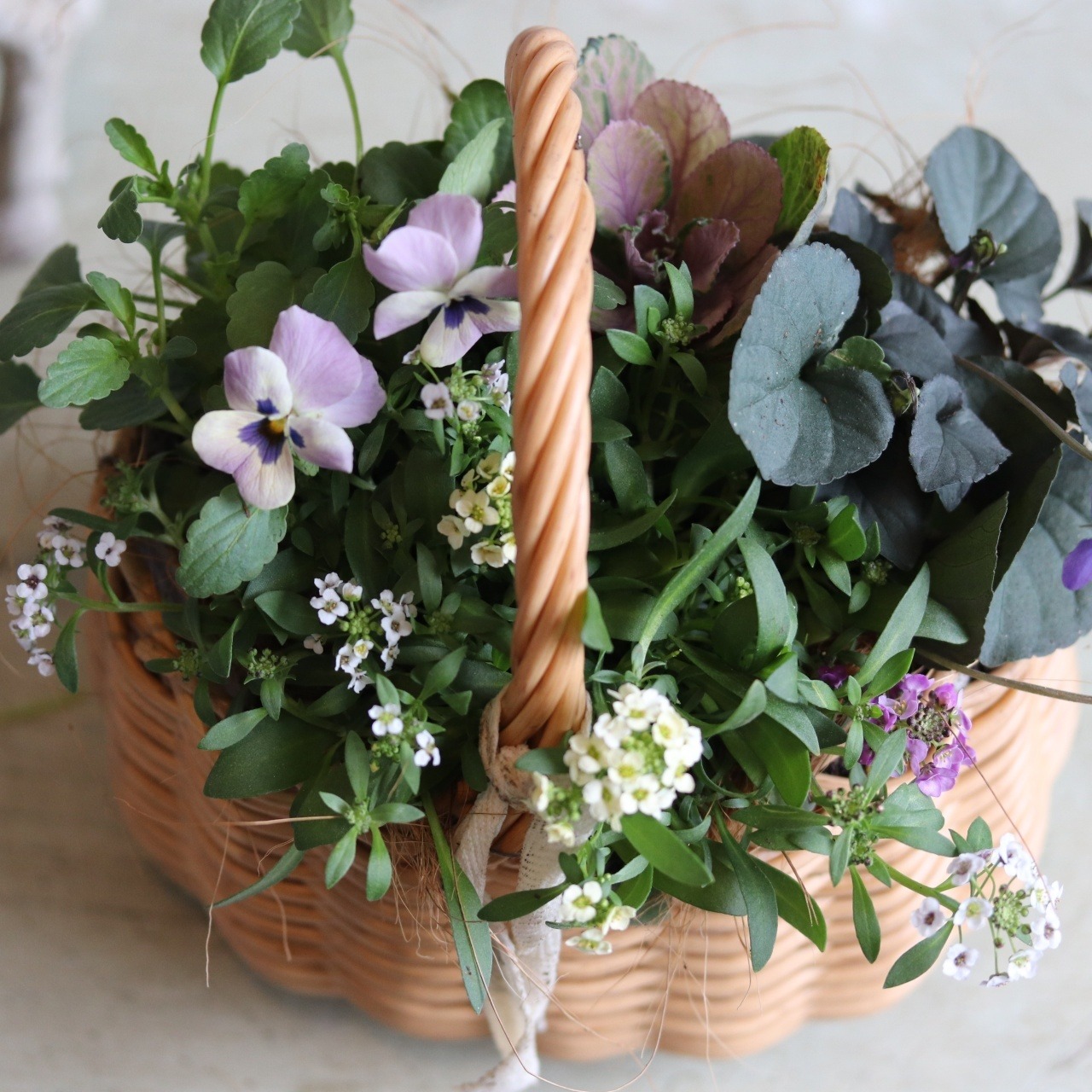冬から春に楽しむ寄せ植え　ビオラトルニーとシックカラーのハボタンのバスケットの寄せ植え　お正月にオススメ　届いてすぐ玄関に飾れる 　プレゼントにもオススメ　