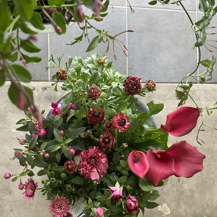 自分で作る寄せ植え花苗セット】ダークレッドの豪華な寄せ植え | 橋本