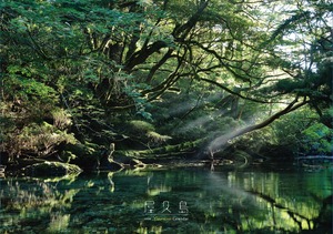 2024＜壁掛け＞屋久島カレンダー