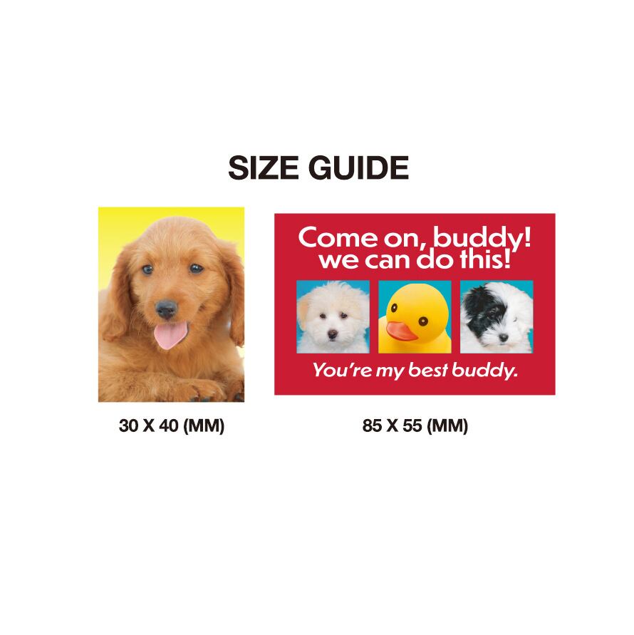 えんページ WN」ダイアリー ブック (Blue) | THENCE