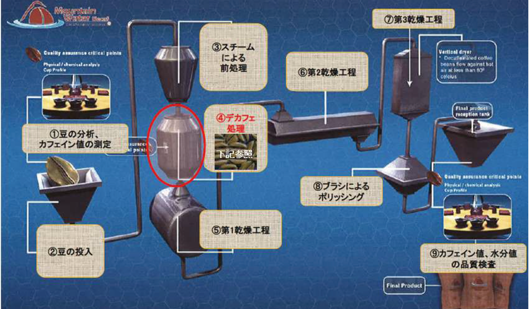 【グアテマラ】 カフェインレス マウンテンウォータープロセス【200g】中深煎り　自家焙煎