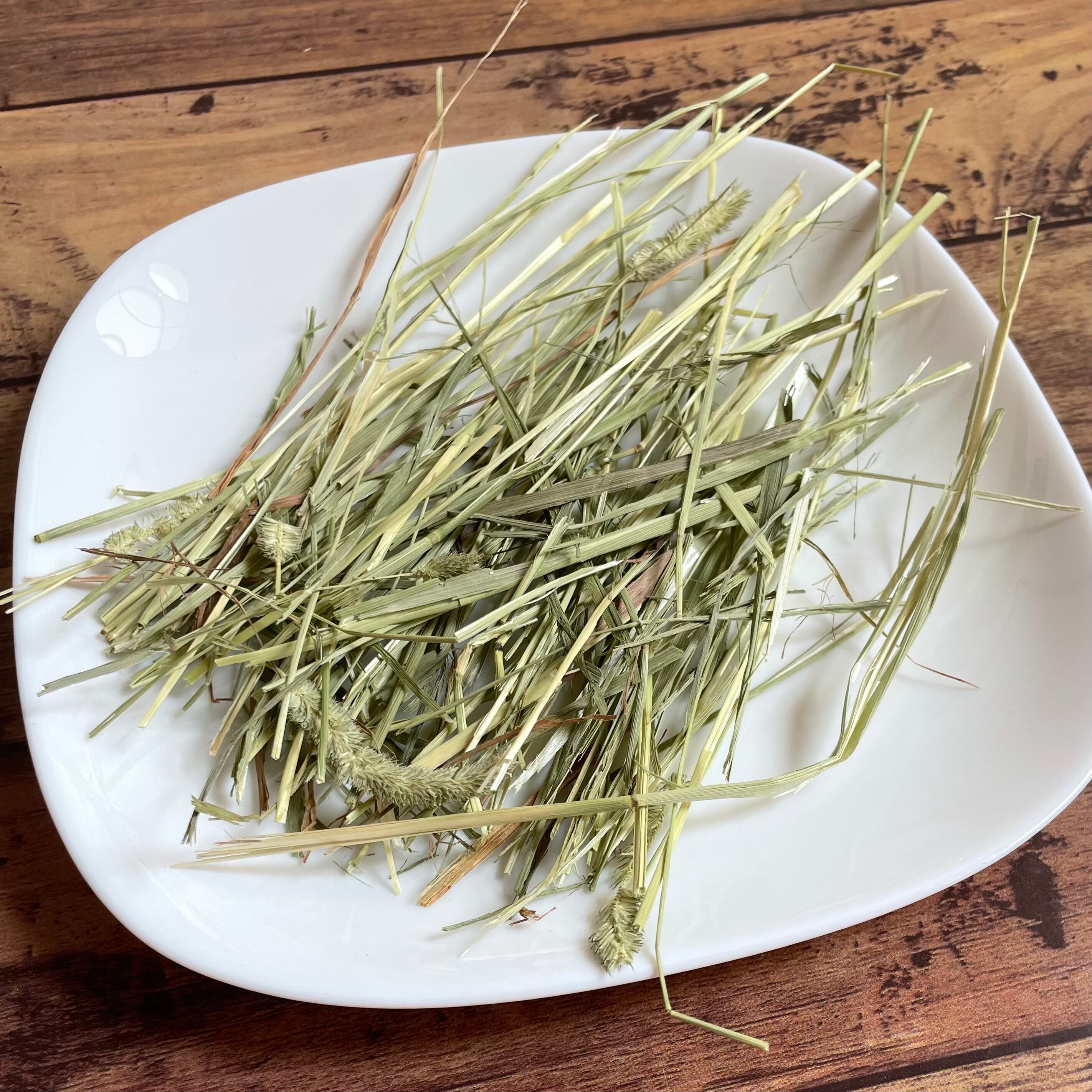 新ロット　2024年刈取り　プレミアムグレード　カナダ産（ドライランドエリア）チモシー 3kg