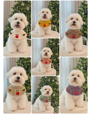 限定予約【MR.MOKA】Rudolph Accordion Cape (7Color)