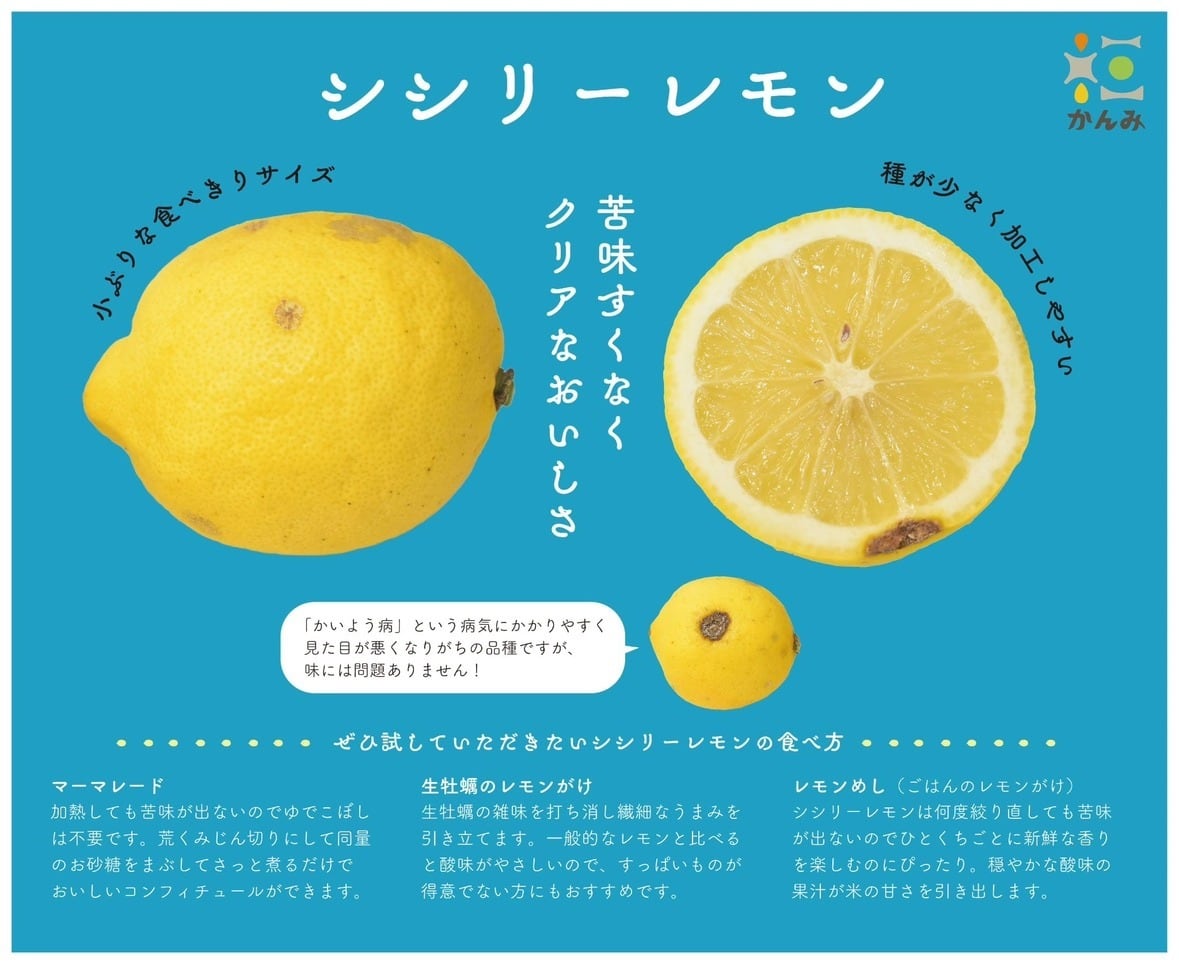 早苗饗蒸留所 SANABURI SPIRITS レモンリキュール prototype05