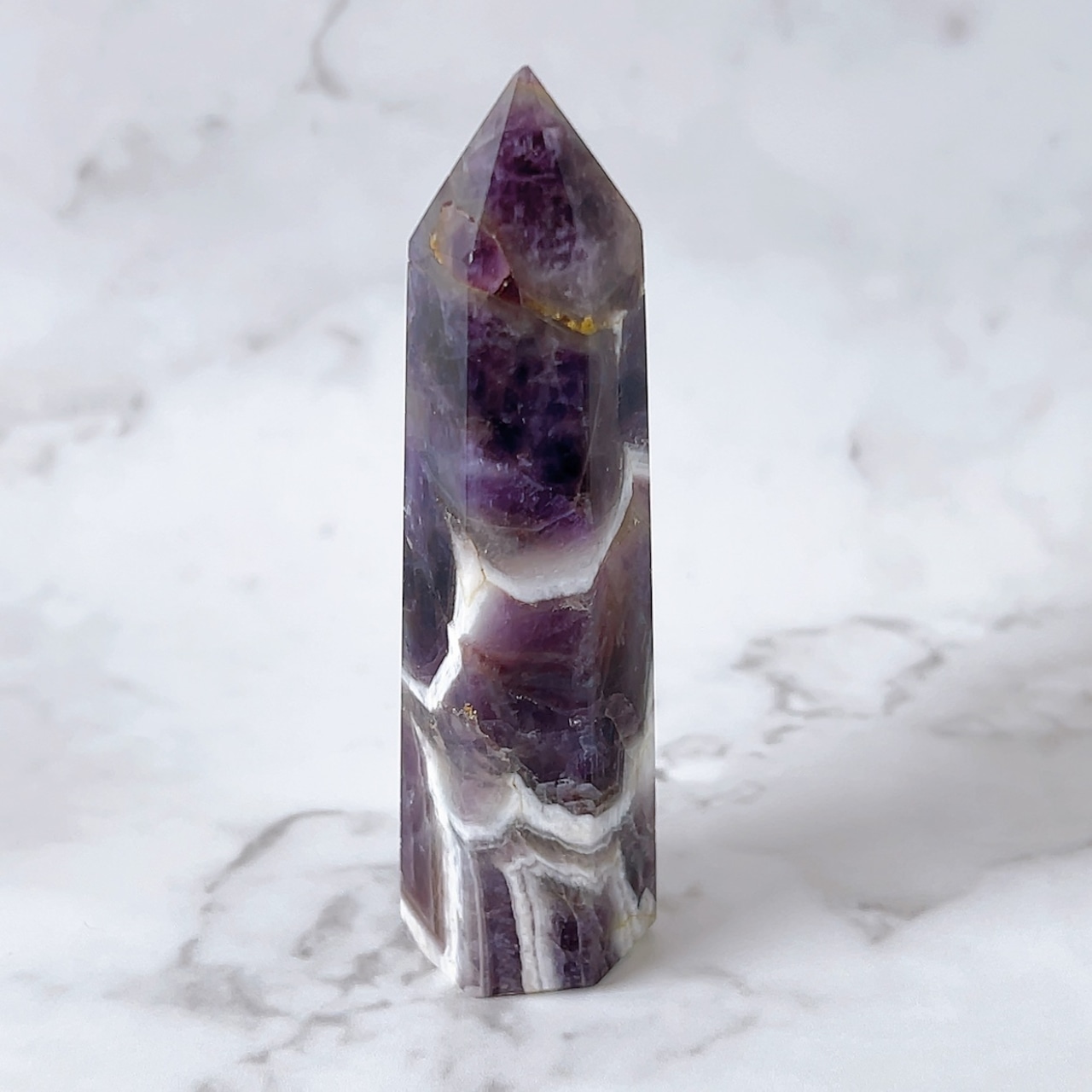 ドリームアメジストタワーB(シェブロンアメジスト・ケープアメジスト)