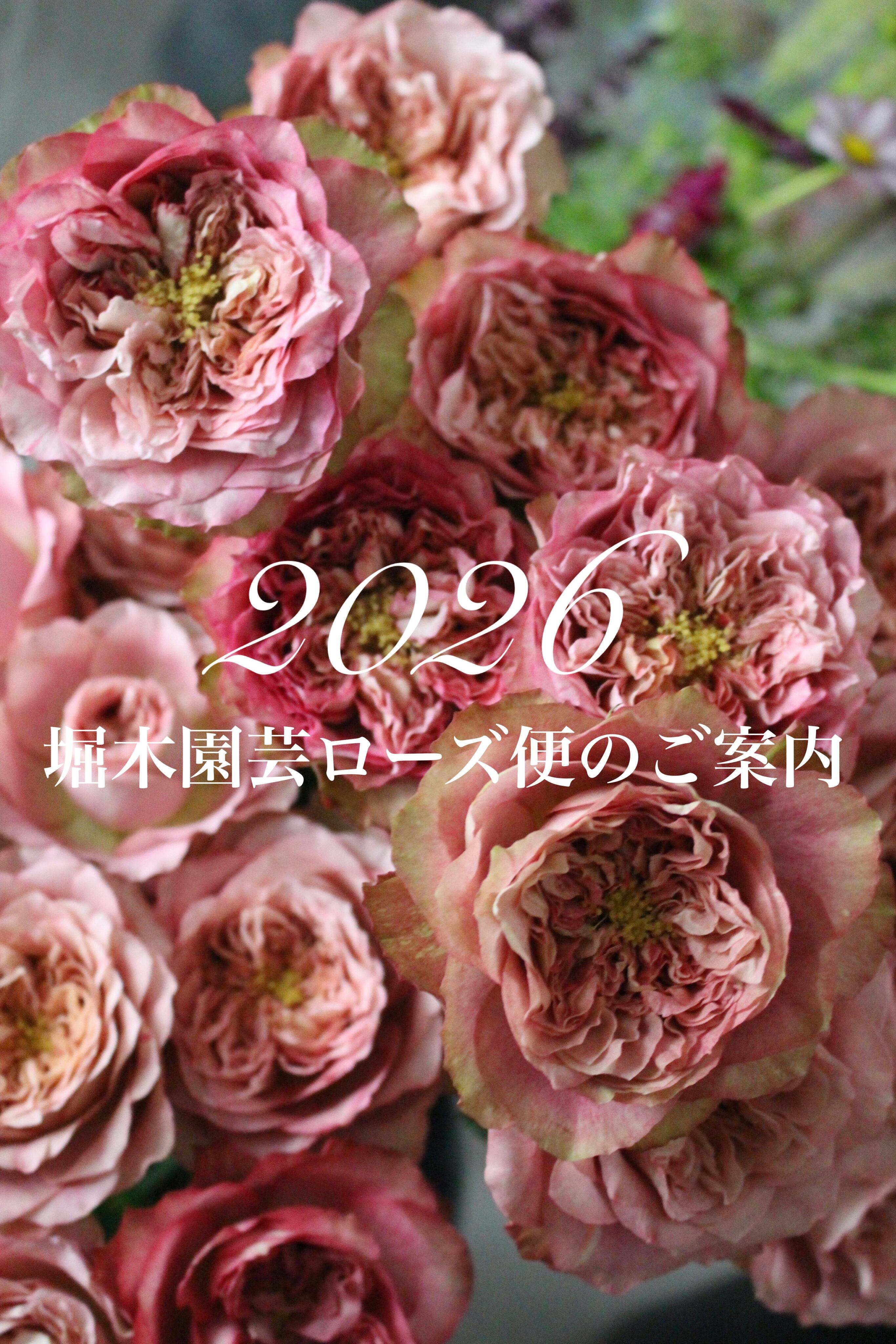 IN BLOSSOM